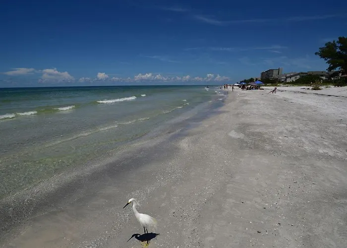 Gulf Retreat 2: Magnificent Water Views, Steps To Beach, None Cleaner, None Nicer! Apartment Clearwater Beach